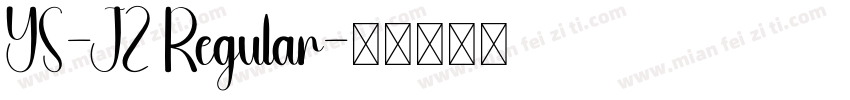 YS-JZ Regular字体转换
